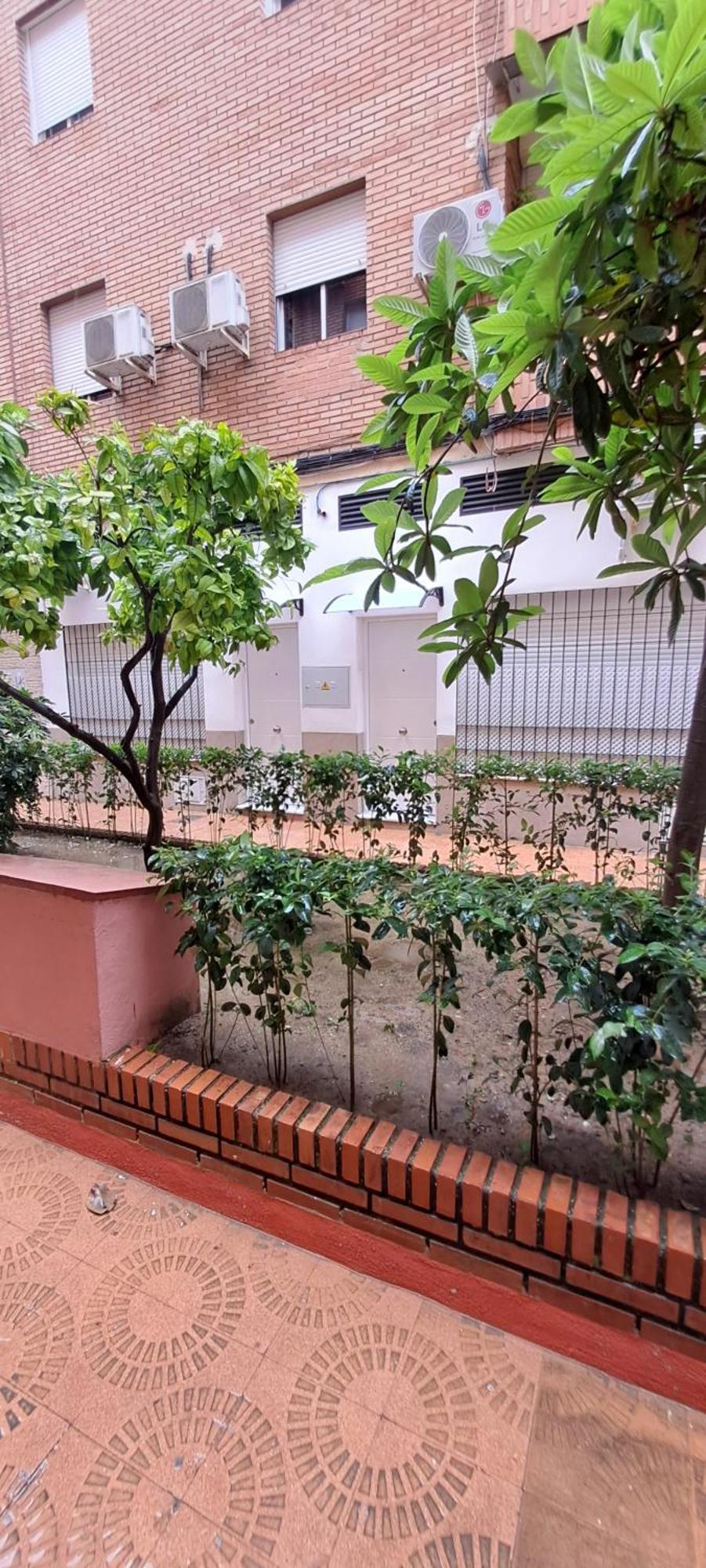 Apartamentos Suite Sol Cordoba Dış mekan fotoğraf