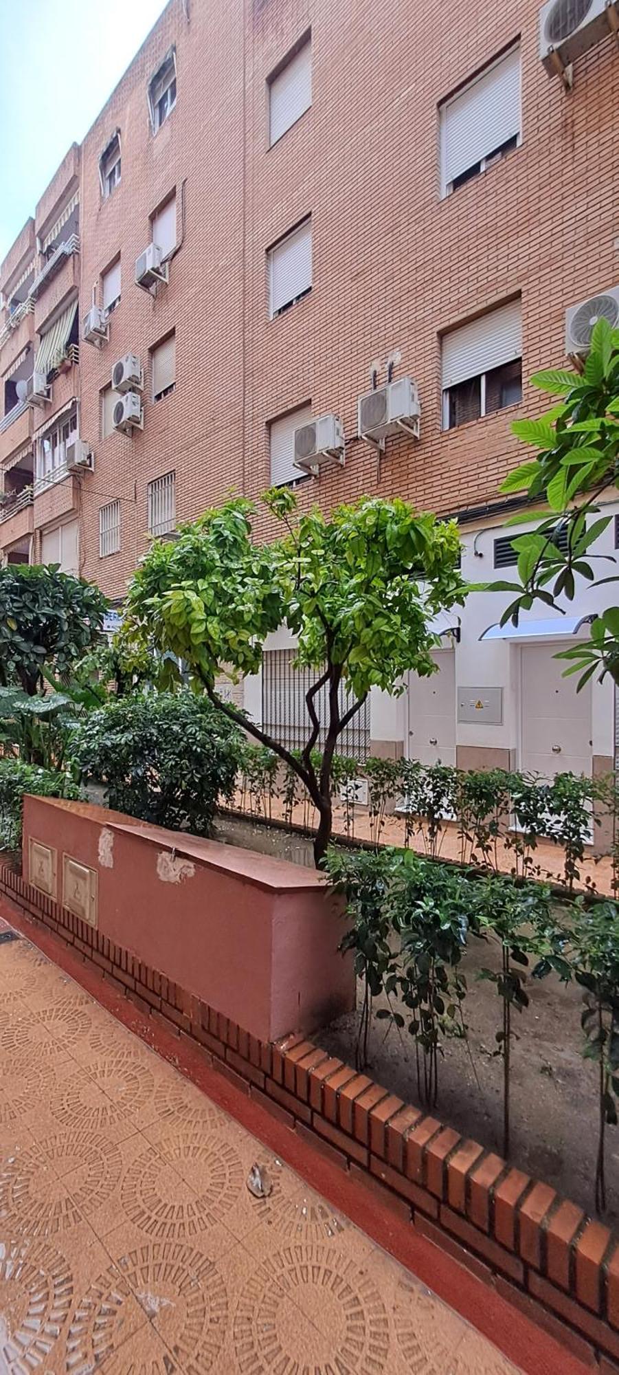 Apartamentos Suite Sol Cordoba Dış mekan fotoğraf
